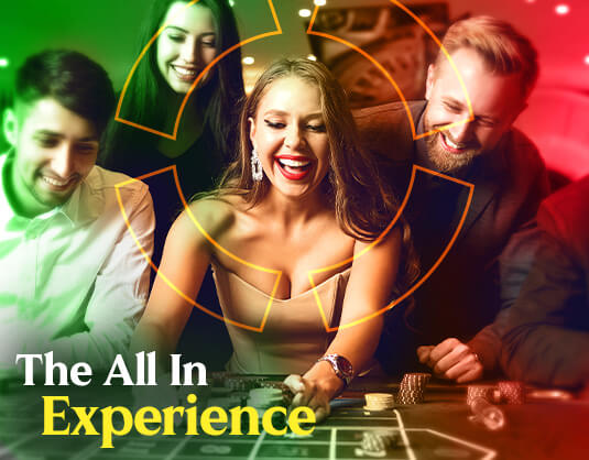 The all in experience